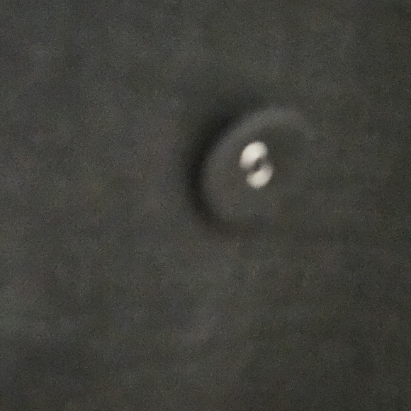 NWOT the Kooples blazer see description - Picture 5 of 16